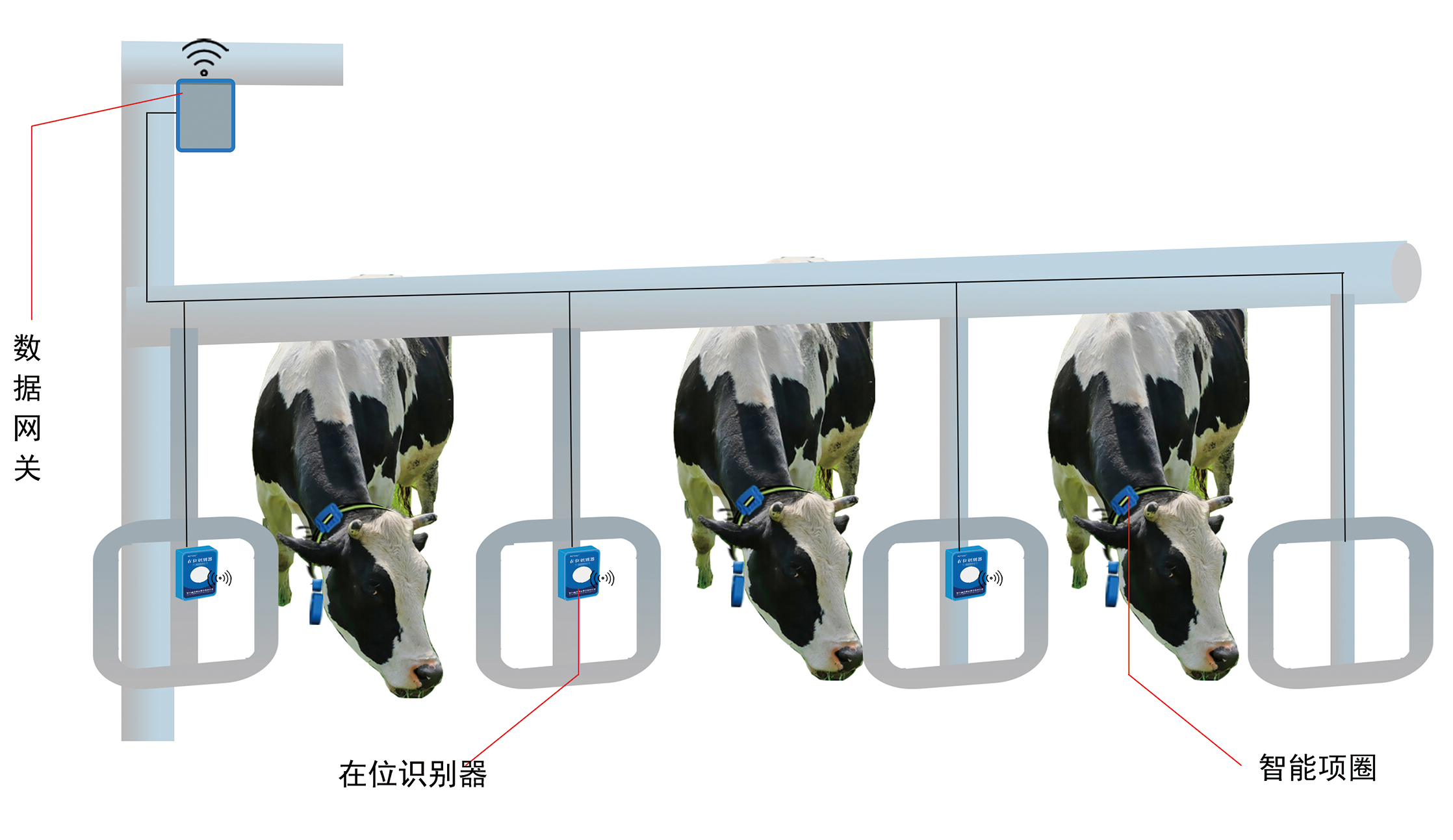牛只在位識別系統(tǒng)V1-1.jpg